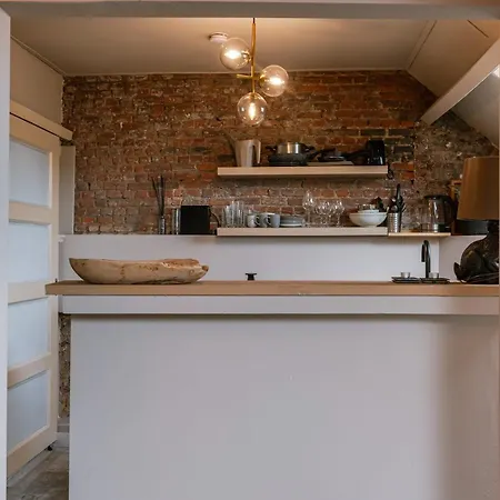 Huswell - Rooftop In Center, Pets Are Welcome Apartment Antwerpen